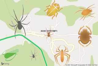 שירות ריסוס בצובה - ריסוס לדירה בצובה