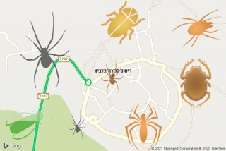 שירות ריסוס בלביא - ריסוס לדירה בלביא