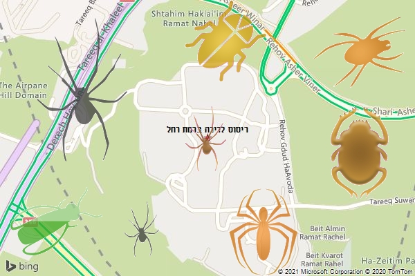 ריסוס לדירה ברמת רחל