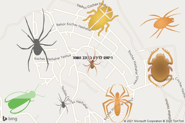 ריסוס לדירה בכוכב השחר