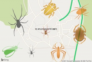 שירות ריסוס בקיבוץ בית ניר - ריסוס לדירה בקיבוץ בית ניר