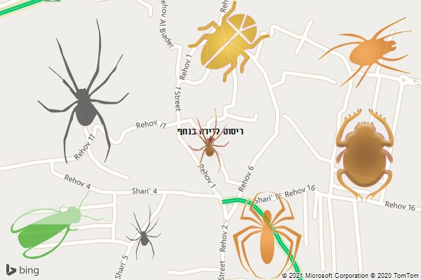 ריסוס לדירה בנחף