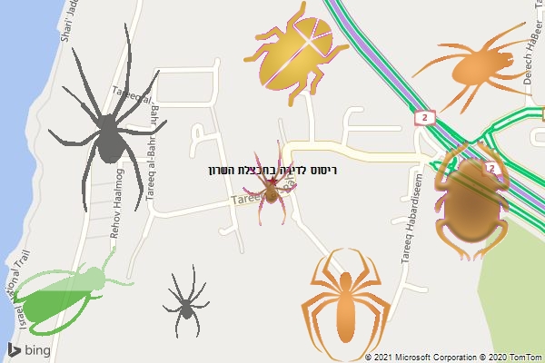 ריסוס לדירה בחבצלת השרון