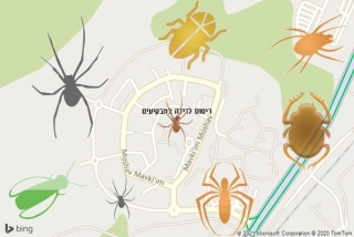 שירות ריסוס במבקיעים - ריסוס לדירה במבקיעים