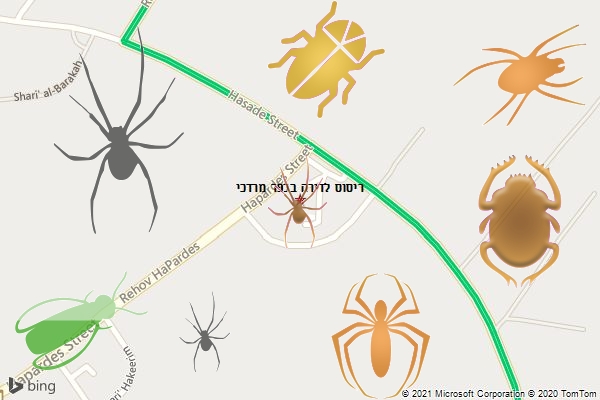 ריסוס לדירה בכפר מרדכי