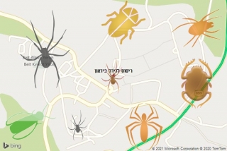 שירות ריסוס ביראון - ריסוס לדירה ביראון