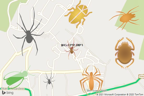 ריסוס לדירה בנען