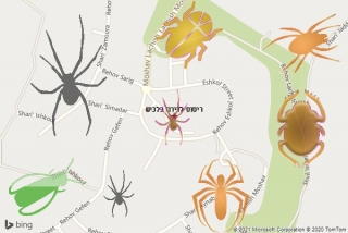 שירות ריסוס בלכיש - ריסוס לדירה בלכיש