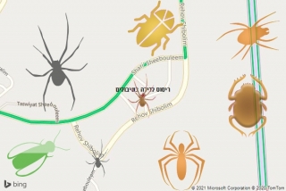 שירות ריסוס בשיבולים - ריסוס לדירה בשיבולים