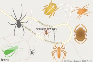 שירות ריסוס בבית עוזיאל - ריסוס לדירה בבית עוזיאל