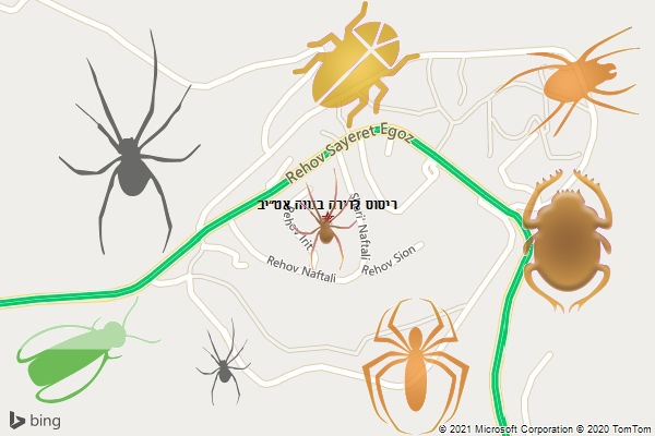 ריסוס לדירה בנווה אט״יב