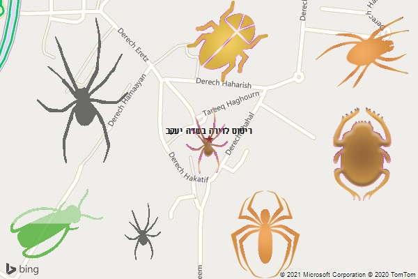 ריסוס לדירה בשדה יעקב