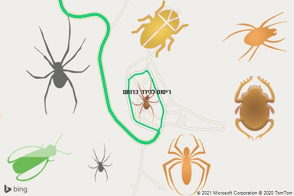 ריסוס לדירה ברותם