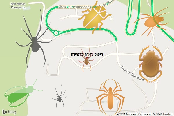 ריסוס לדירה בדמיידה