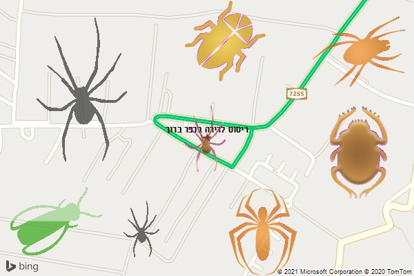 ריסוס לדירה בכפר ברוך
