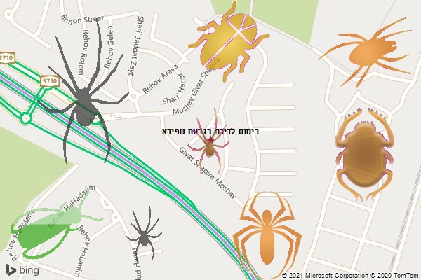 ריסוס לדירה בגבעת שפירא