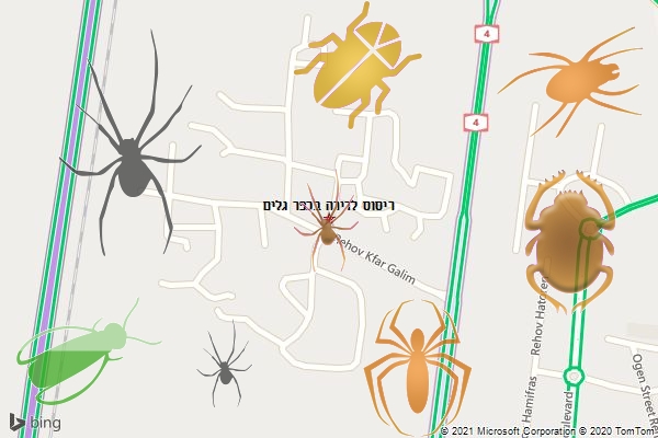ריסוס לדירה בכפר גלים