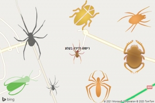 שירות ריסוס בקלע - ריסוס לדירה בקלע
