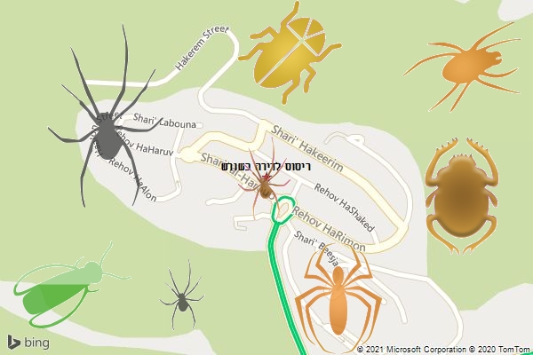 ריסוס לדירה בשורש