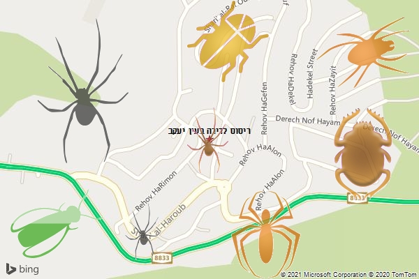 ריסוס לדירה בעין יעקב