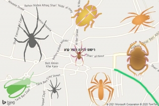 שירות ריסוס בכפר קרע - ריסוס לדירה בכפר קרע