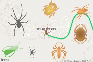 שירות ריסוס בורד יריחו - ריסוס לדירה בורד יריחו