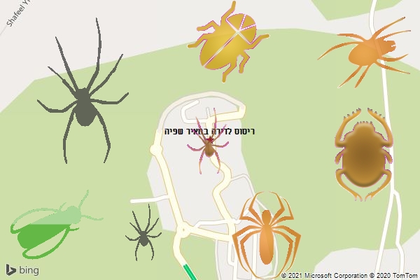 ריסוס לדירה במאיר שפיה