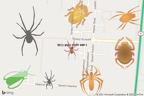 ריסוס לדירה בגבע כרמל