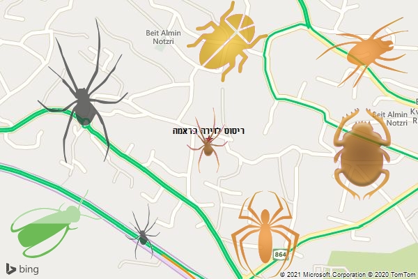 ריסוס לדירה בראמה