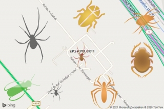 שירות ריסוס ביגל - ריסוס לדירה ביגל