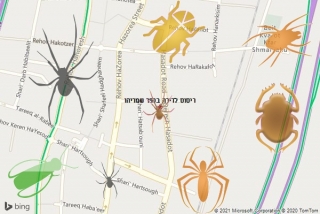 שירות ריסוס בכפר שמריהו - ריסוס לדירה בכפר שמריהו
