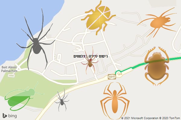 ריסוס לדירה בפלמחים