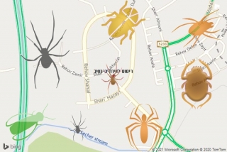 שירות ריסוס בירחיב - ריסוס לדירה בירחיב