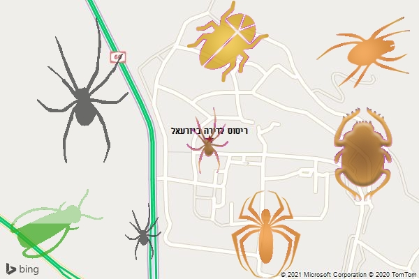 ריסוס לדירה ביזרעאל