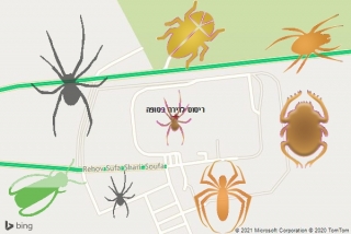 שירות ריסוס בסופה - ריסוס לדירה בסופה