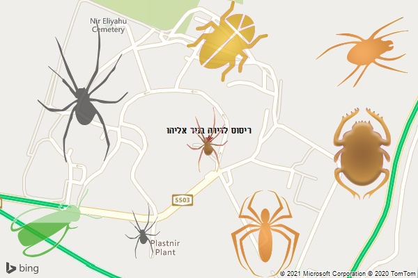 ריסוס לדירה בניר אליהו