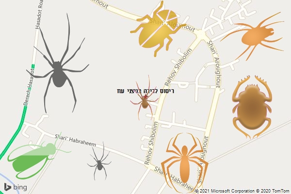 ריסוס לדירה בניצני עוז
