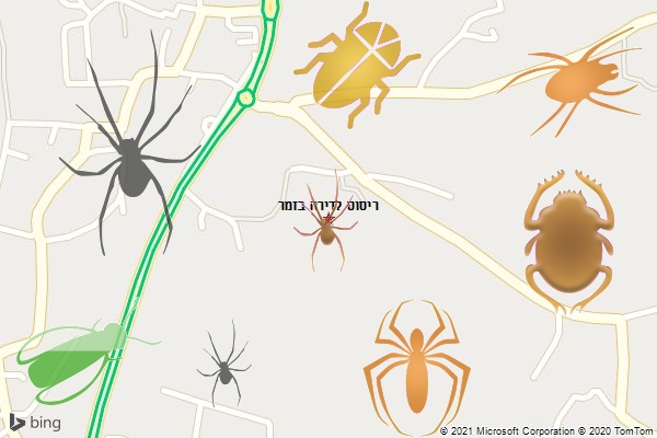 ריסוס לדירה בזמר