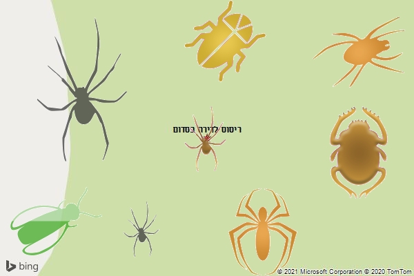 ריסוס לדירה בסדום