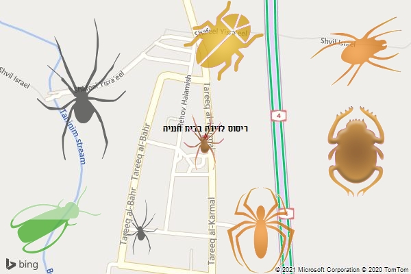 ריסוס לדירה בבית חנניה