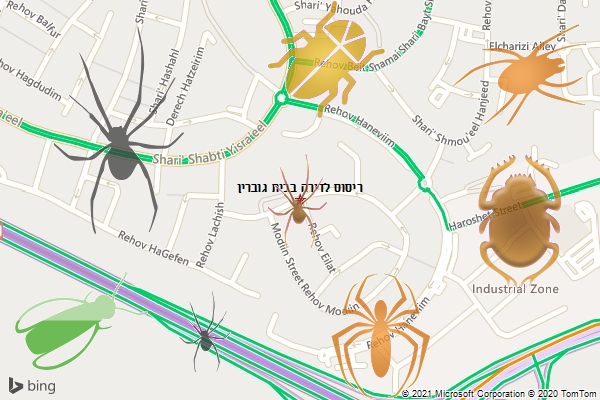 ריסוס לדירה בבית גוברין