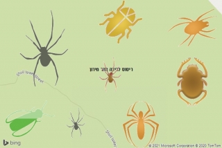 שירות ריסוס בהר מירון - ריסוס לדירה בהר מירון