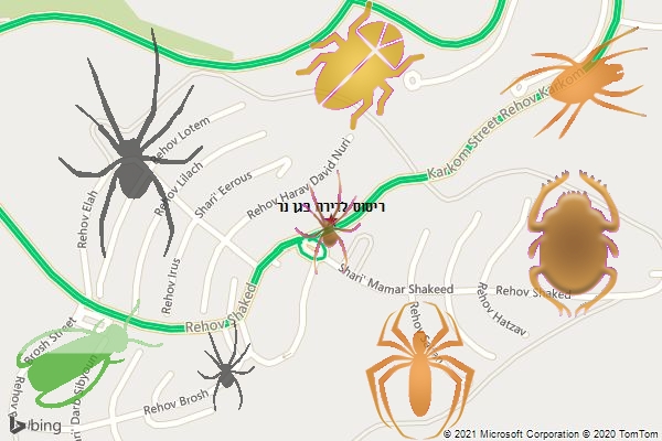 ריסוס לדירה בגן נר