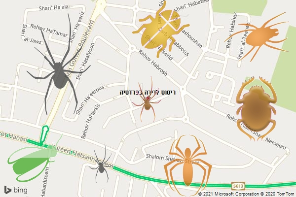 ריסוס לדירה בפרדסיה