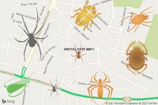 שירות ריסוס בפרדסיה - ריסוס לדירה בפרדסיה