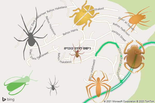 ריסוס לדירה בזכריה