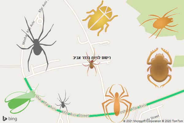 ריסוס לדירה בכפר אביב