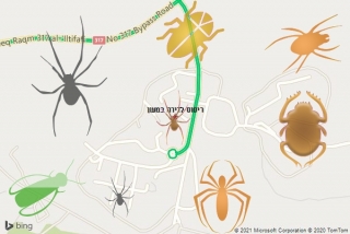 שירות ריסוס במעון - ריסוס לדירה במעון