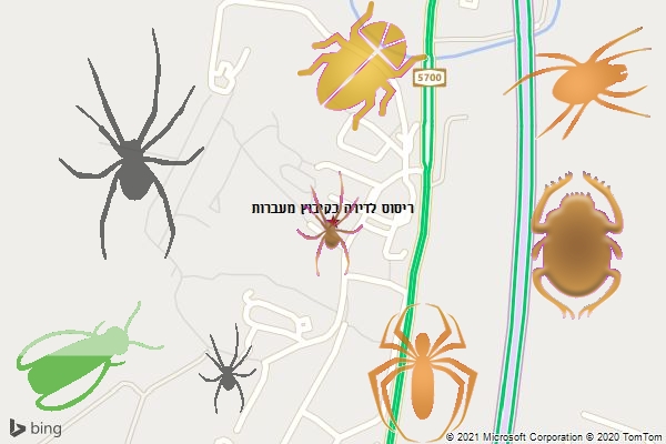 ריסוס לדירה בקיבוץ מעברות
