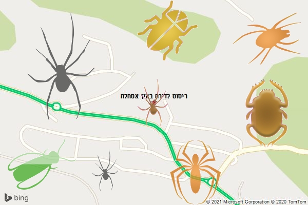 ריסוס לדירה בעין אסהלה